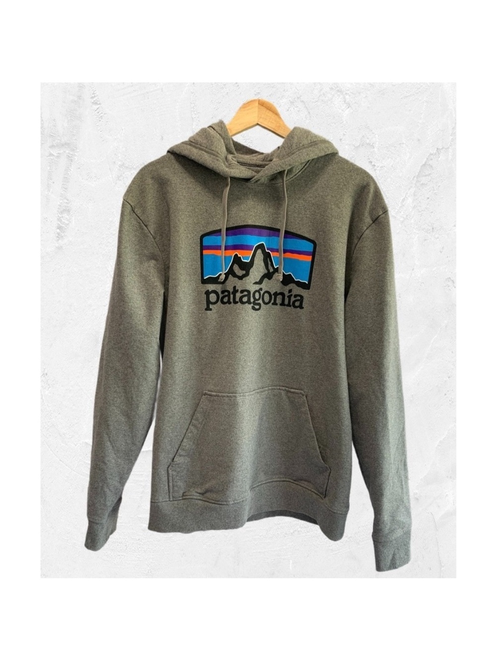 Patagonia Men’s Logo Large Hoodie